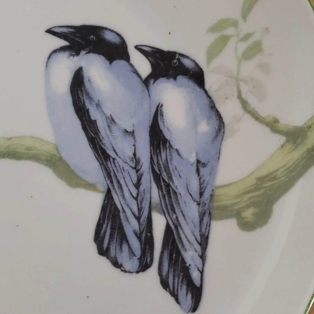 MZ Moritz Zdekauer Austria Blue Black Birds 8.5